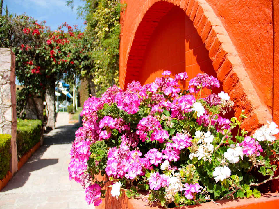 Áreas verdes Mision Aguascalientes Zona Sur