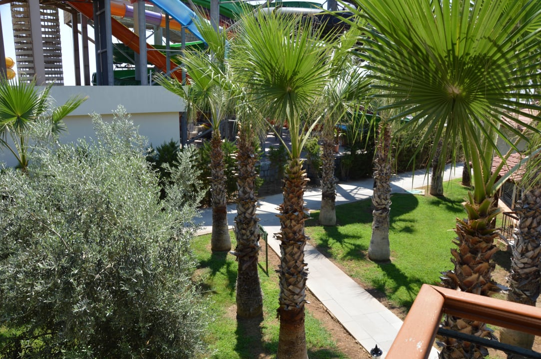 Ausblick vom Balkon Papillon Belvil