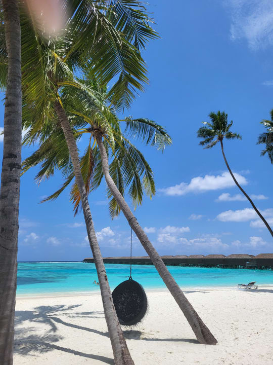 Strand Meeru Maldives Resort Island