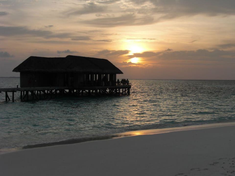 Muraka (Bar / Restaurant) Mirihi Island Resort