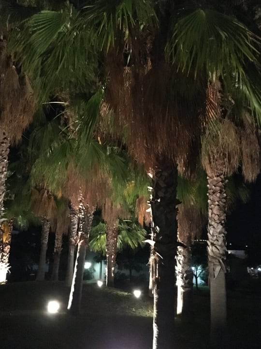 Gartenanlage Club Esse Sunbeach