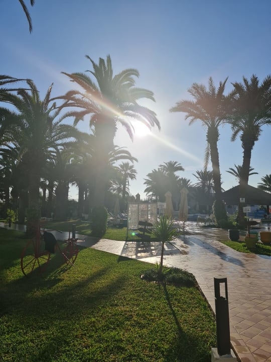 Gartenanlage Hotel Marhaba Beach