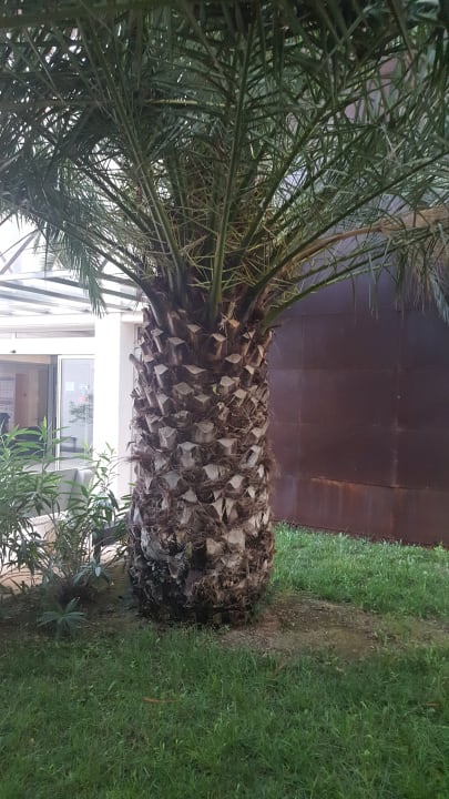 Gartenanlage Hotel Na Forana