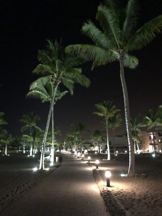 Gartenanlage Salalah Rotana Resort