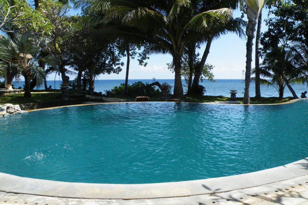 Pool mit direkten Blick aufs Meer Puri Bagus Lovina