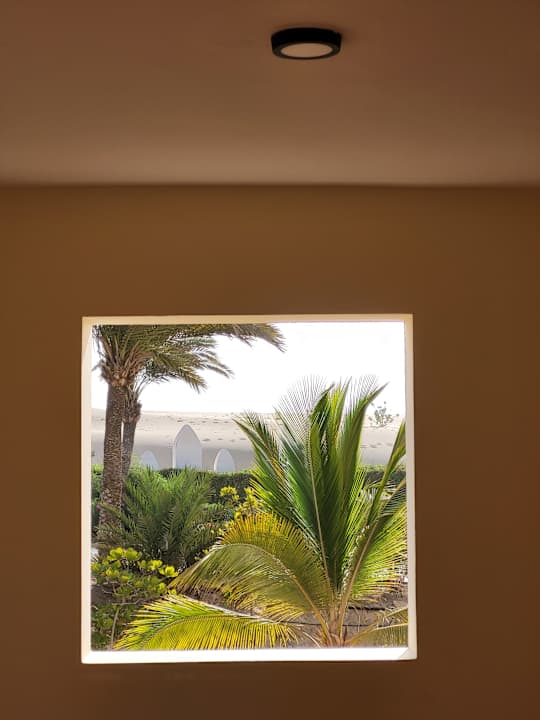 Ausblick Hotel Riu Karamboa