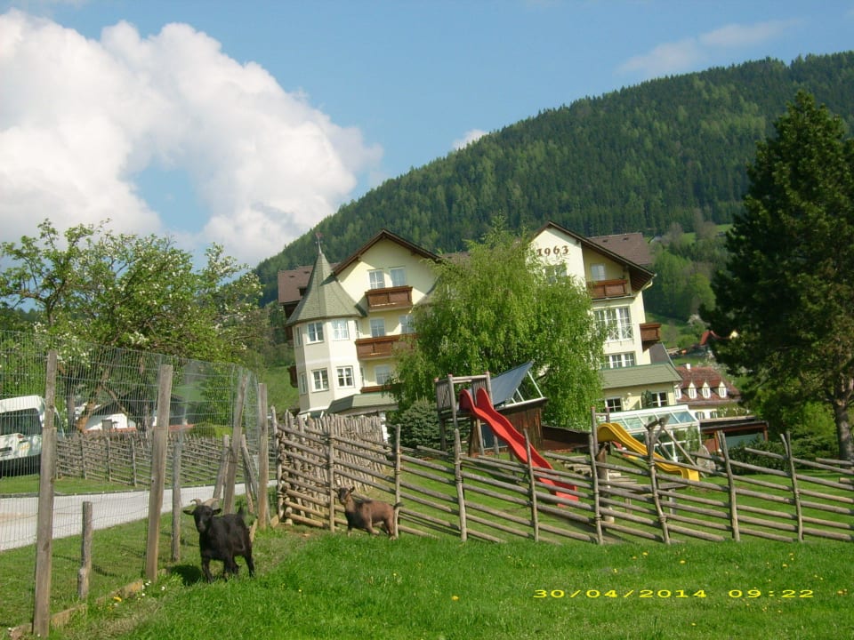 Sehr große Spielplatz und kleine Ziegen Familienhotel Herbst