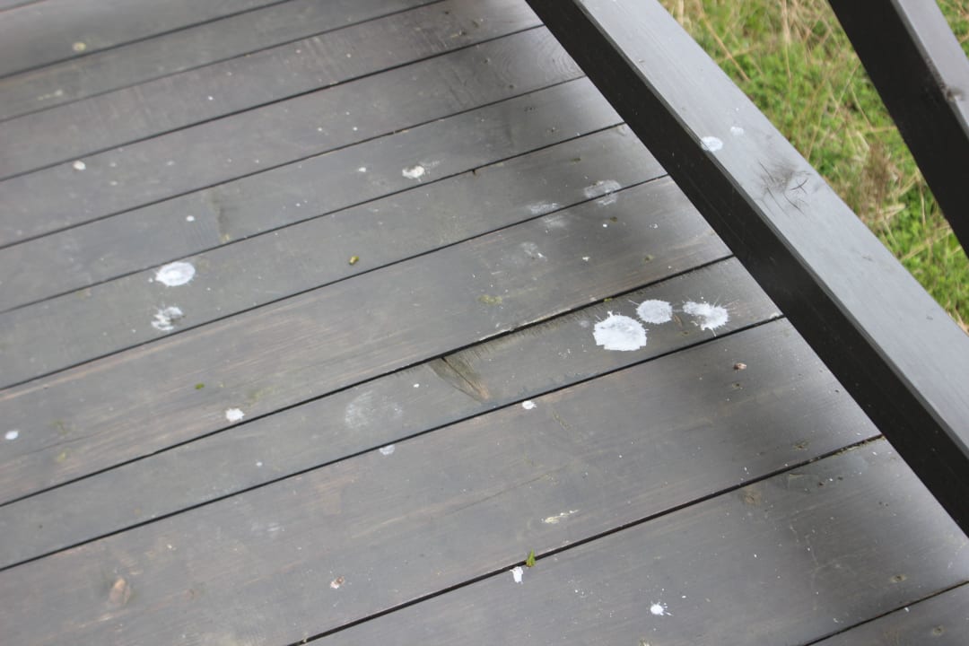 Taras "domku na drzewie" Hotel Dolina Charlotty Resort & Spa