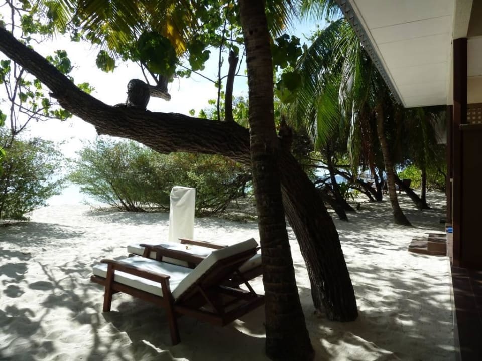 Vor 219 Eri Maldives