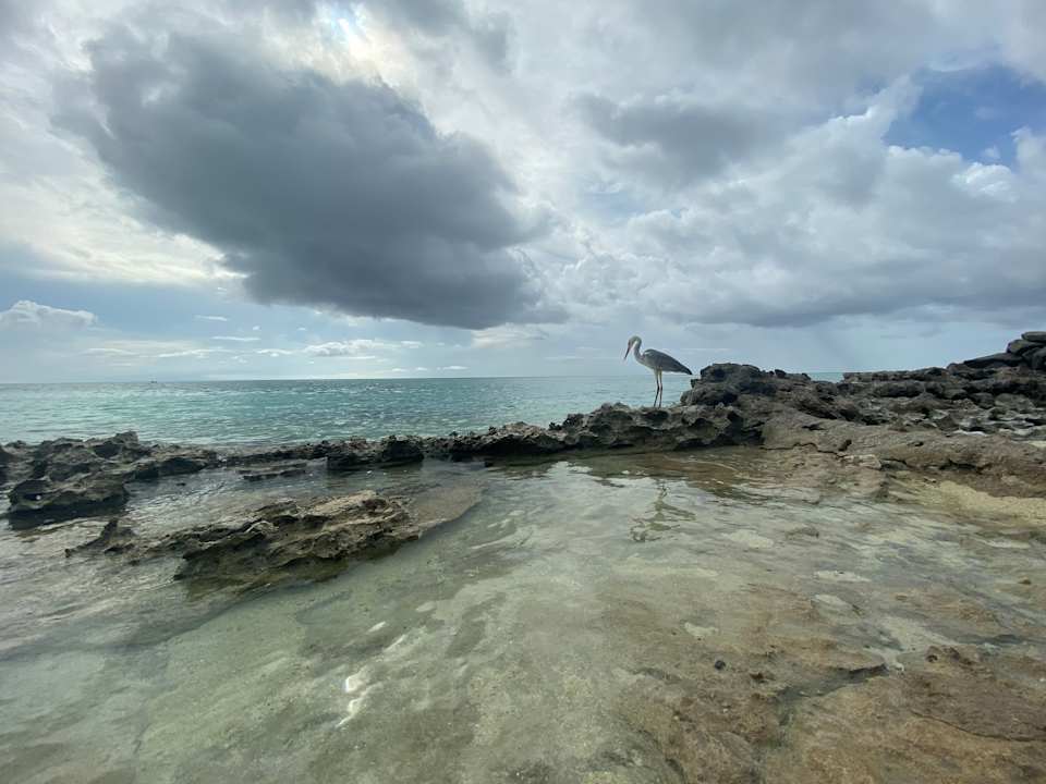 Strand Summer Island Maldives