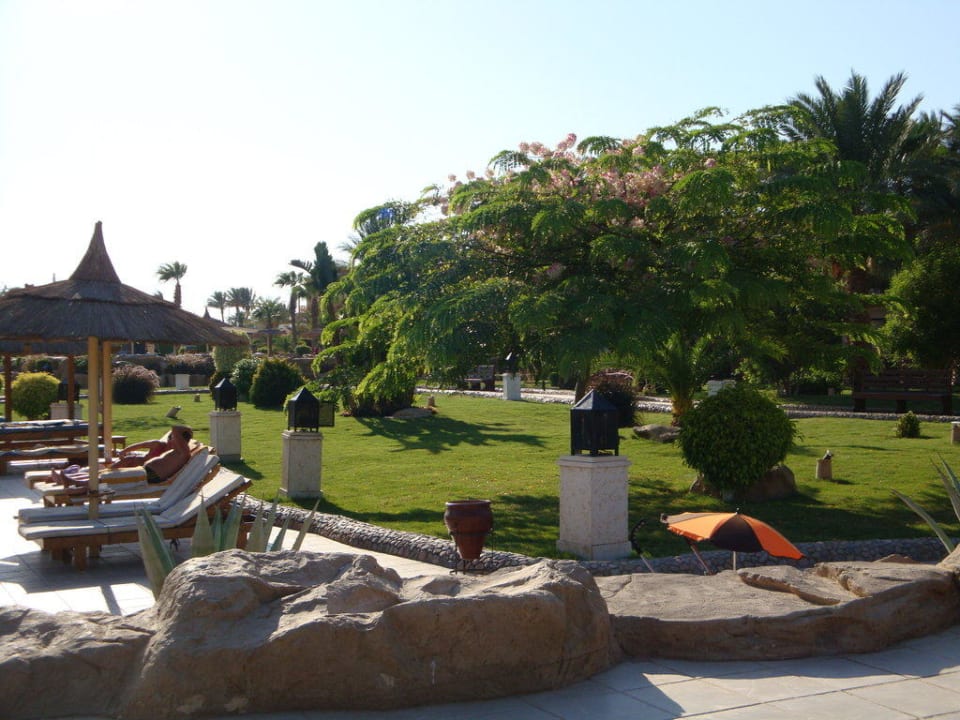 Viel Grün Beach Albatros Resort