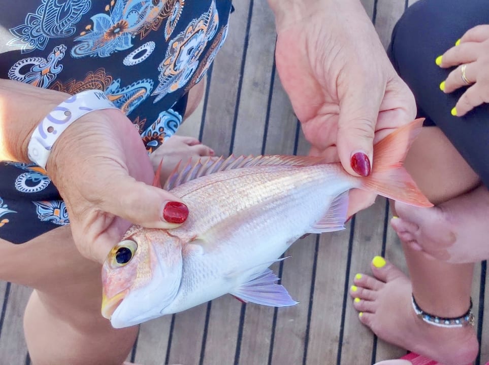 Sonstiges Pickalbatros White Beach Resort - Hurghada