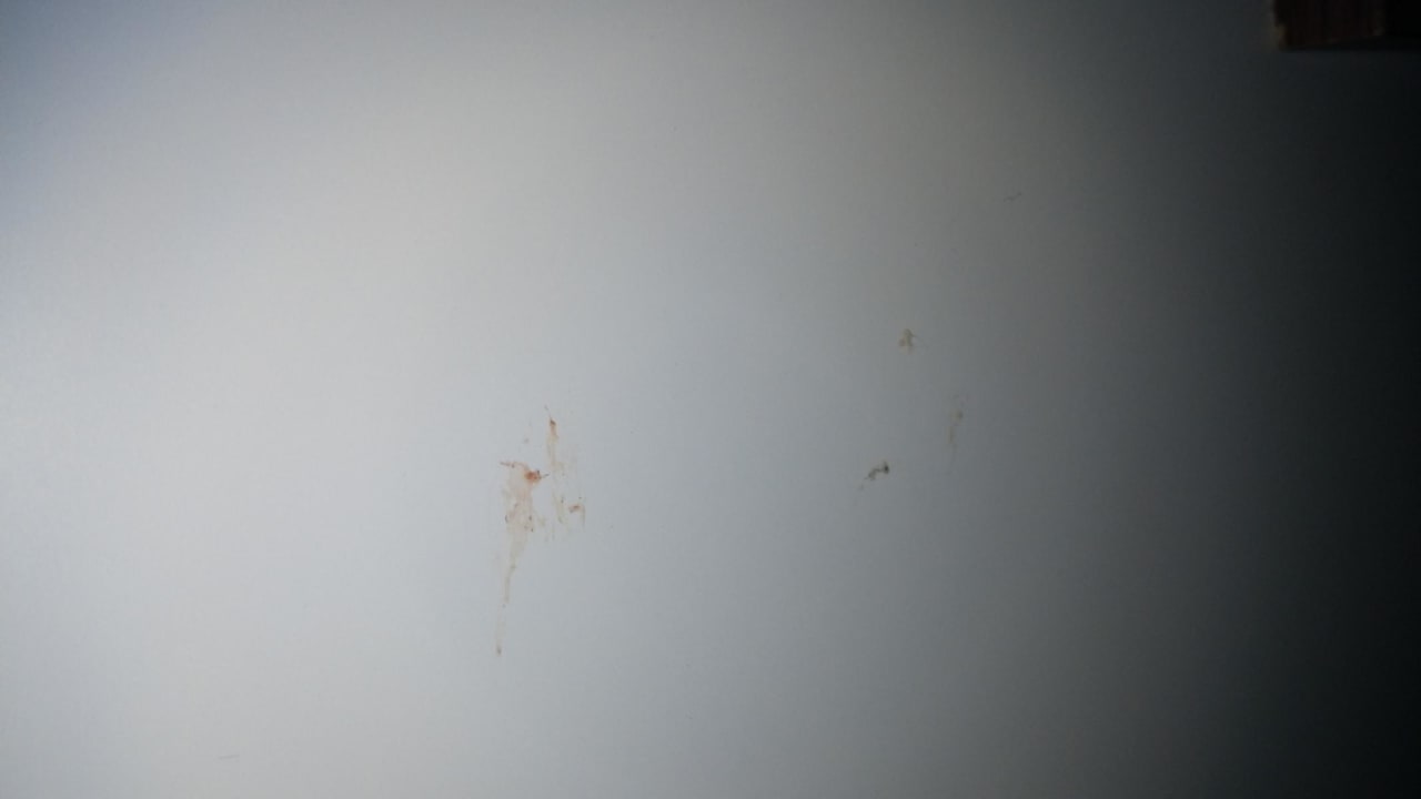 Türe innen TUI BLUE Medulin