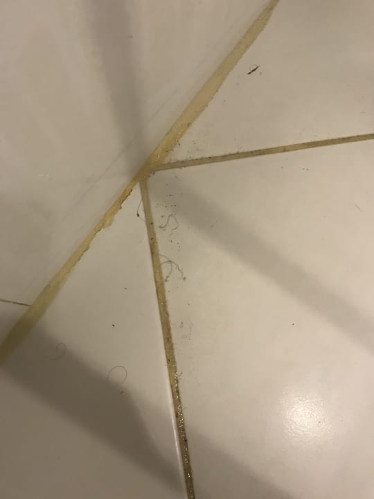 Zimmer Alp Pasa Hotel - Special Class