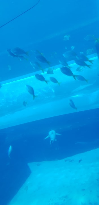 Sport & Freizeit Atlantis, The Palm