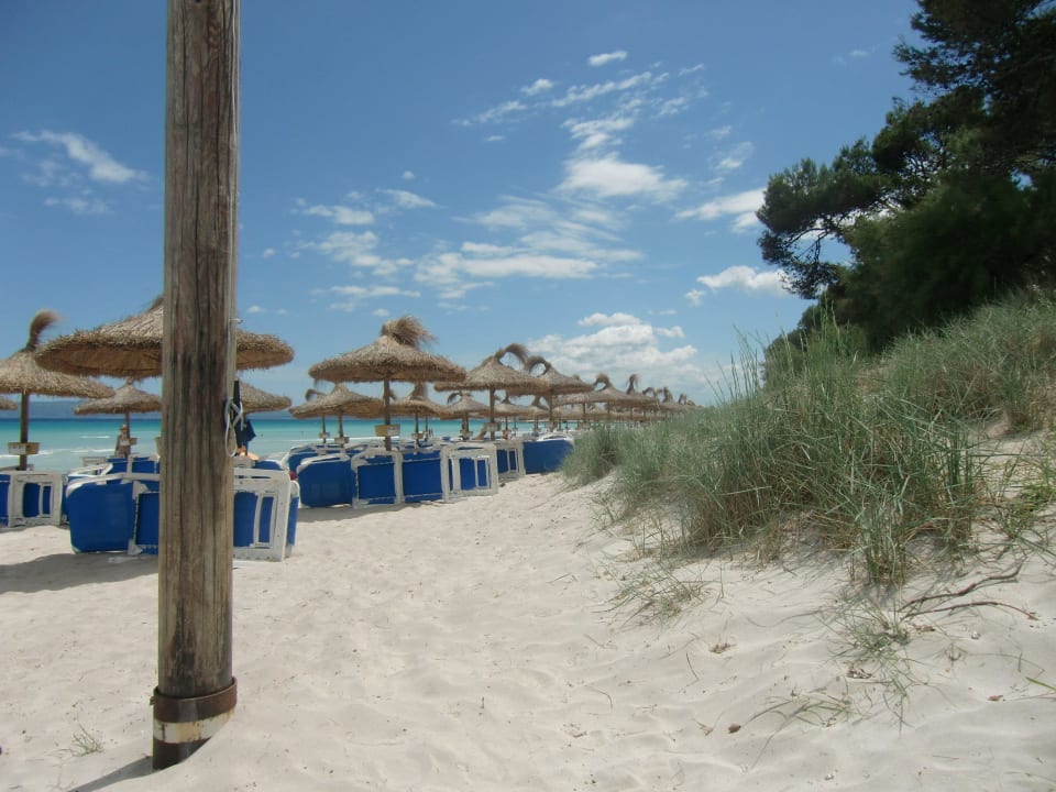 Hotelstrand Iberostar Waves Playa de Muro