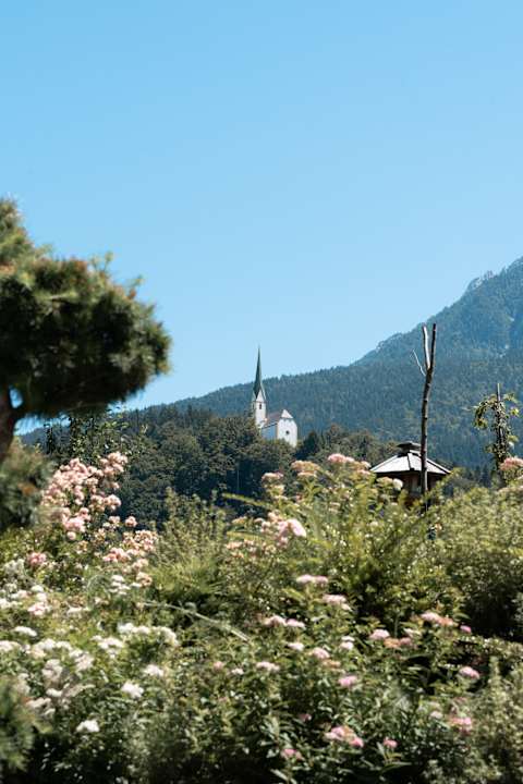 Ausblick dasKAISER - Dein Gartenhotel