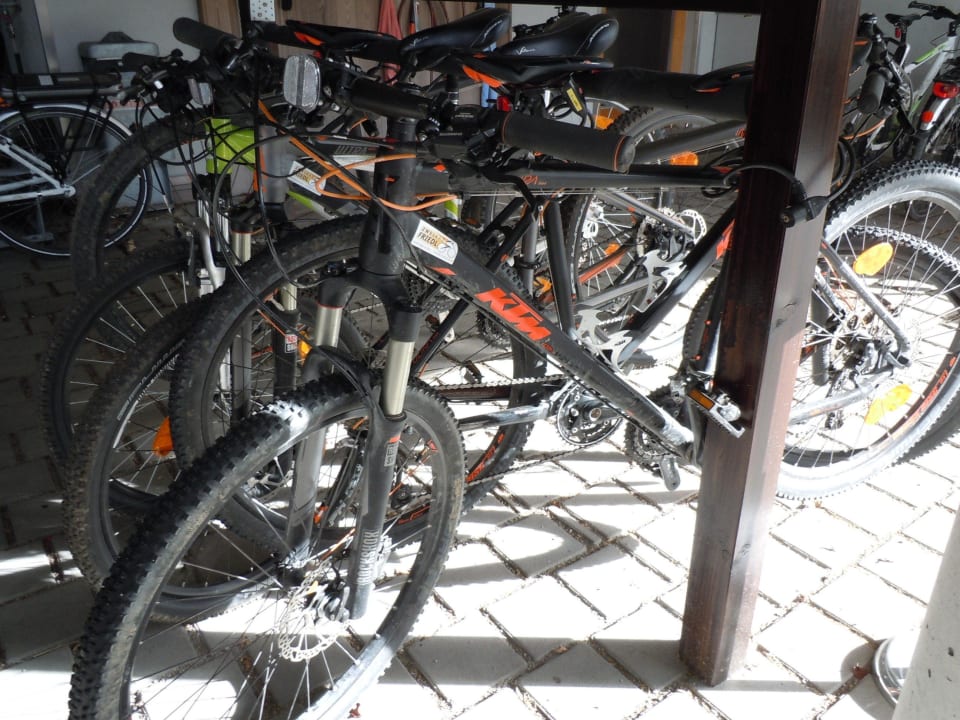 Profi Mountainbikes von KTM Die Wasnerin