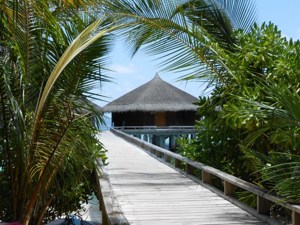 Wasservilla Kuramathi Maldives