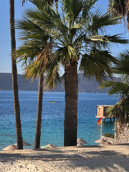 Ausblick TUI MAGIC LIFE Bodrum - Adult Only (16+)