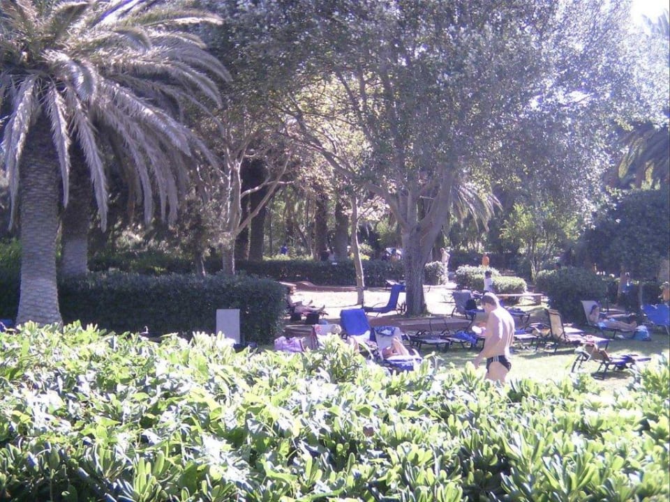 Liegen im Garten Apollonia Beach Resort & Spa