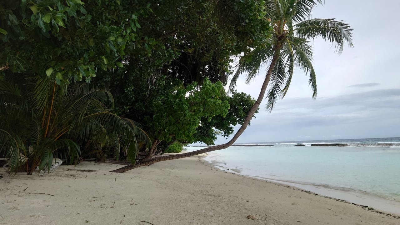 Strand Kuramathi Maldives