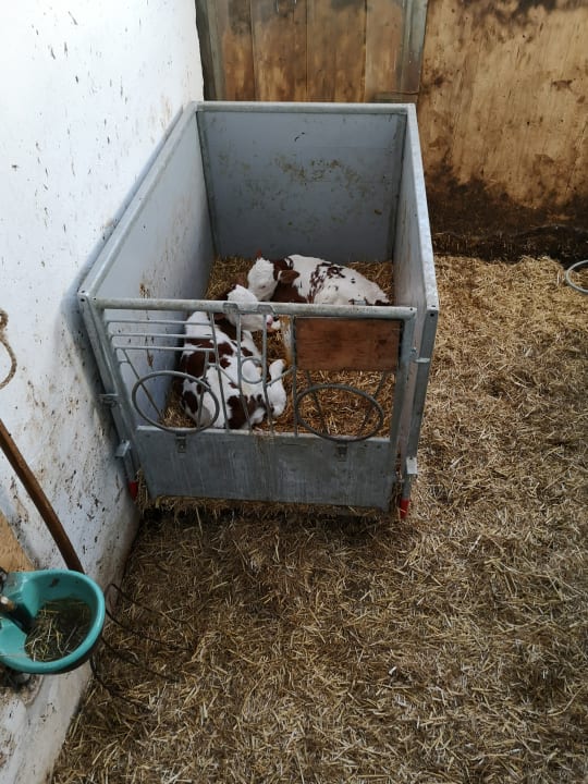 Sonstiges Bauernhof Vorderoberlehen