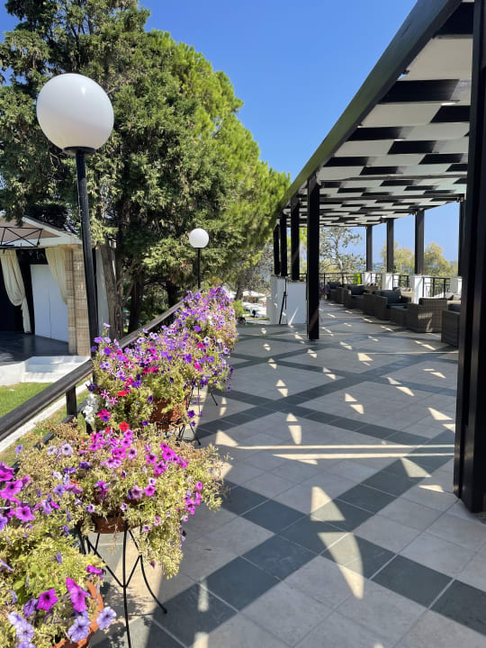 Gartenanlage Hotel Calypso Beach