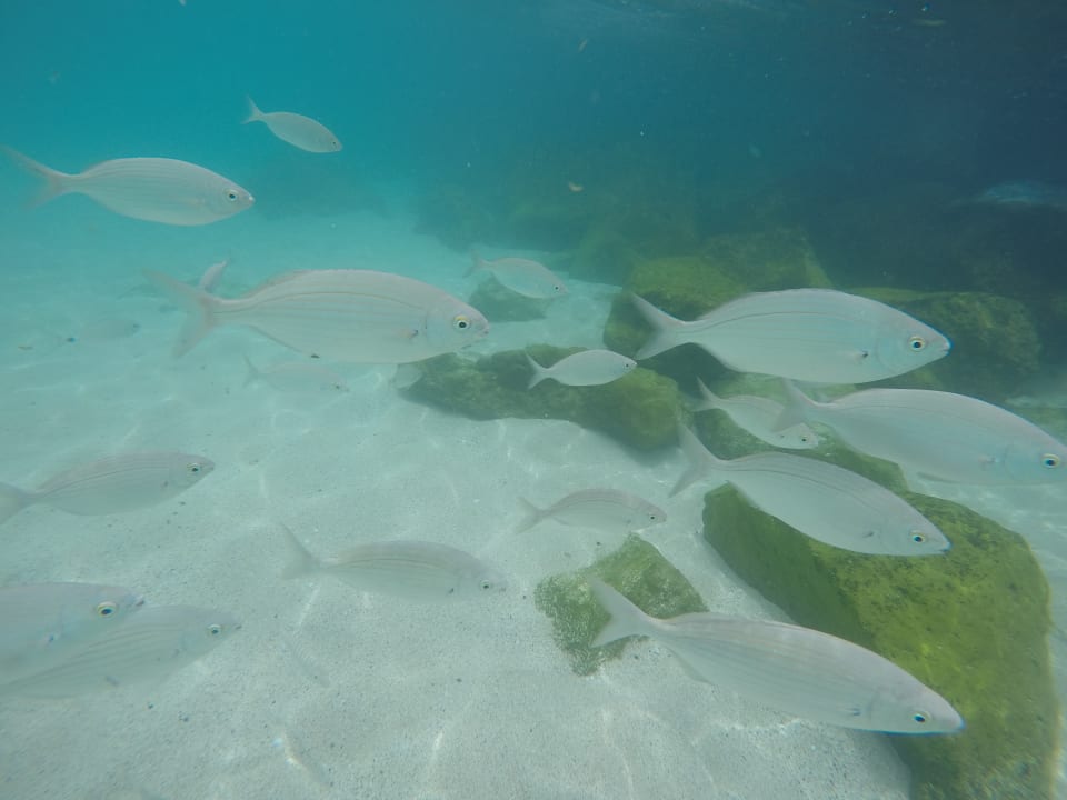 Strand Hotel H10 Lanzarote Princess
