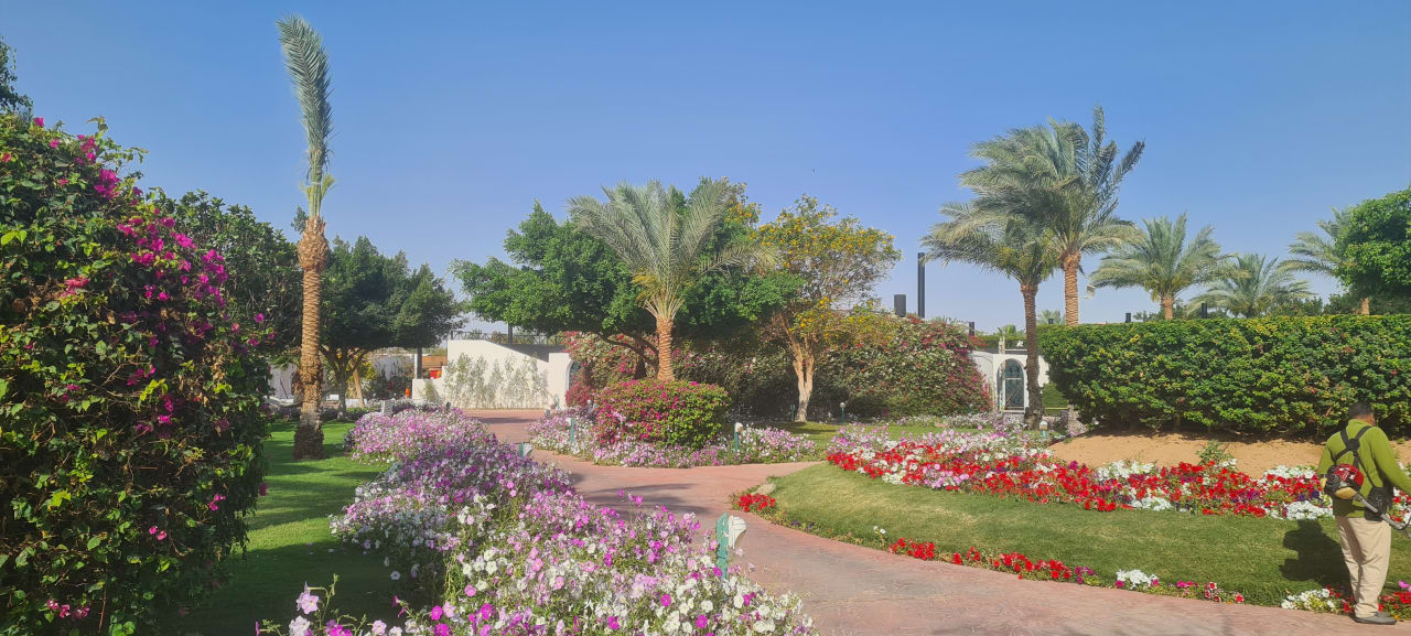 Gartenanlage Desert Rose