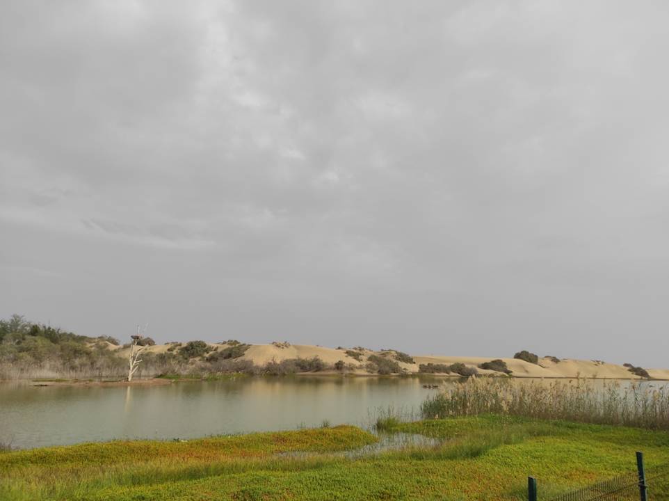 Strand Kumara Serenoa by Lopesan Hotels