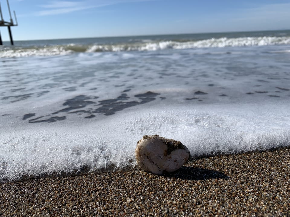 Strand Sherwood Dreams Resort