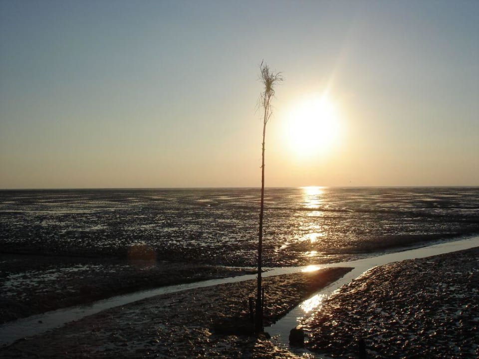Sonnenuntergang am Strand Cuxland Ferienpark & Hotel Nordseebad Dorum