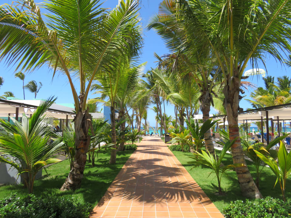 Gartenanlage Hotel Riu Palace Punta Cana