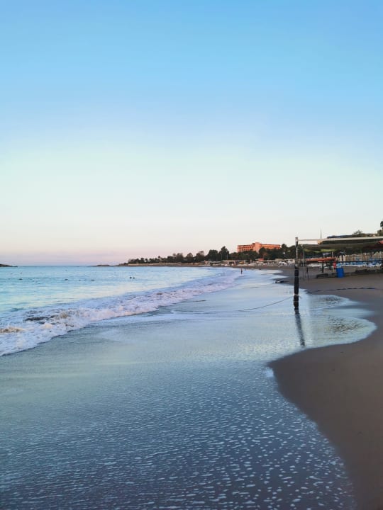 Strand Arycanda Kirman Premium