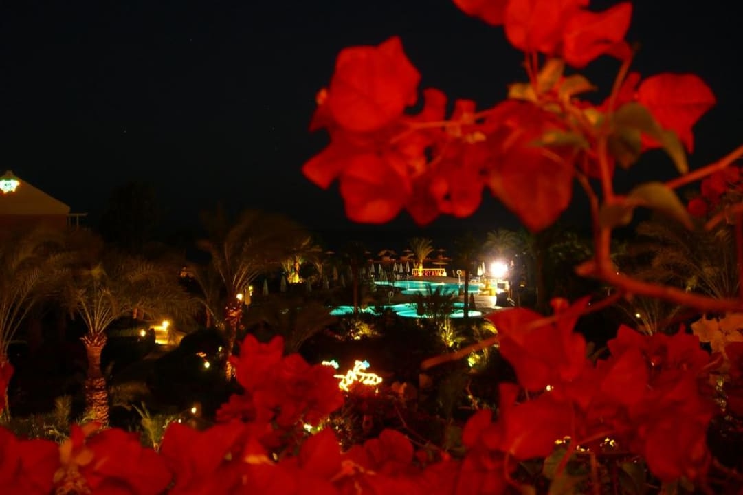 Abendstimmung Mövenpick Resort & Spa El Gouna
