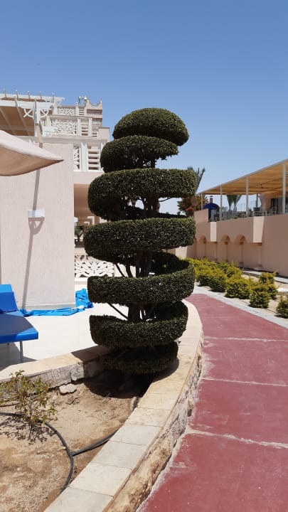 Gartenanlage Pickalbatros Palace Resort