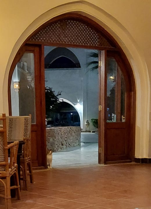 Lobby Arabella Azur Resort