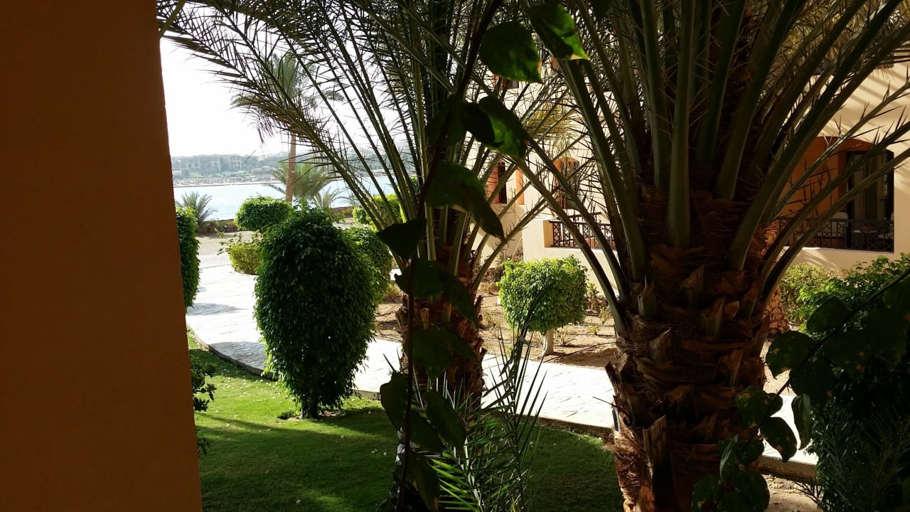 Ausblick vom Zimmer Steigenberger Coraya Beach - Adults only