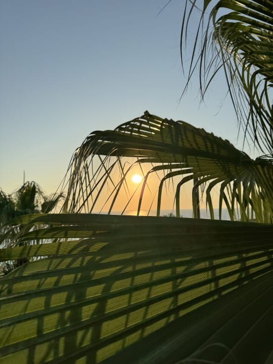 Strand Hotel Pine Bay Holiday Resort