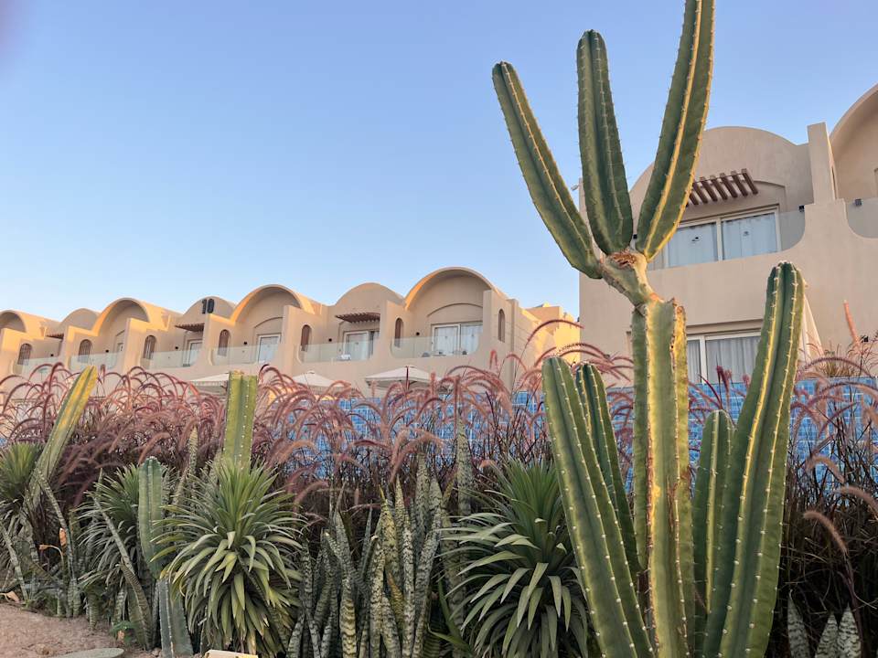 Gartenanlage SUNRISE Anjum Resort Marsa Alam