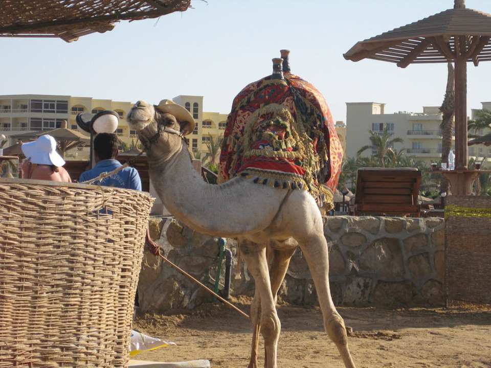 Transportmittel am Strand Riviera Aqua Park Resort