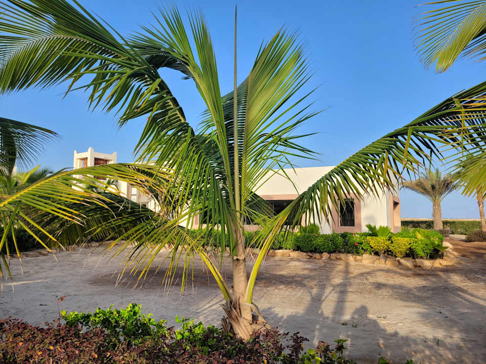 Gartenanlage Hotel Riu Palace Santa Maria