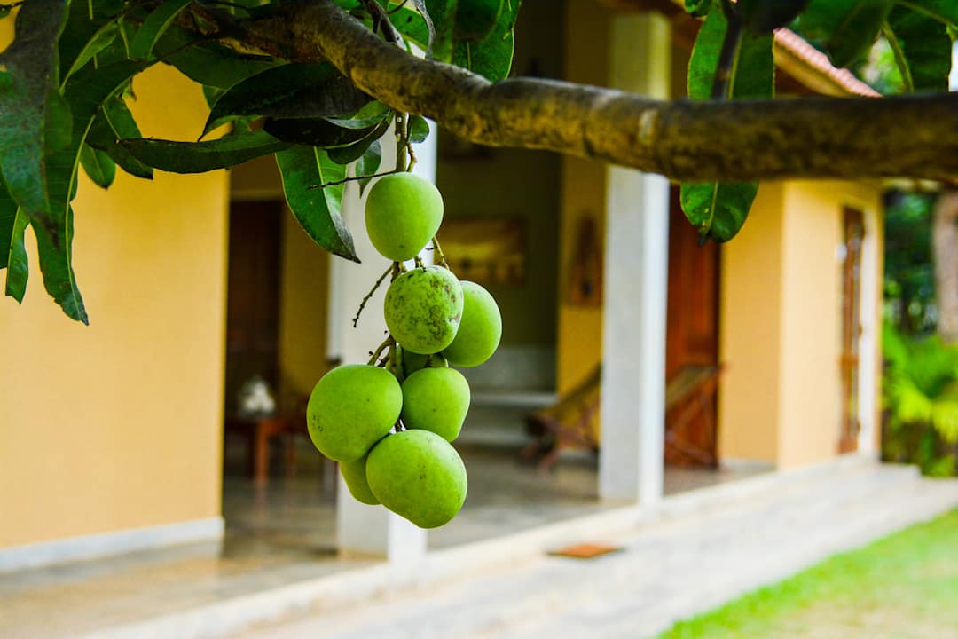 Lobby Resort Kadolana Eco Village