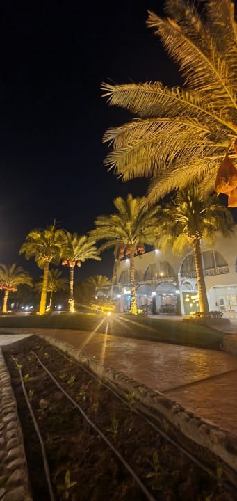 Gartenanlage Desert Rose