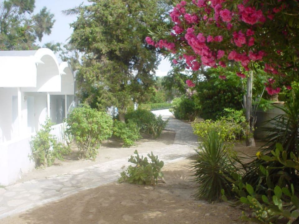 Gartenanlage Hotel Coralia Jawhara Palm Beach