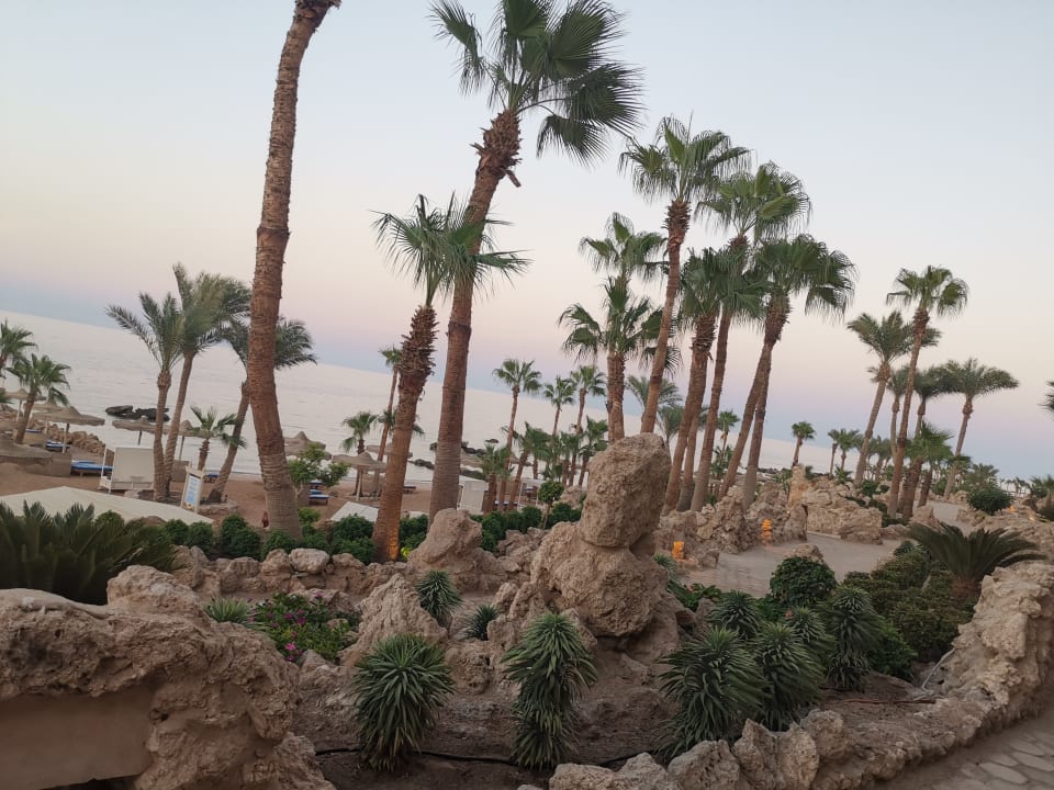 Gartenanlage Pickalbatros Citadel Resort