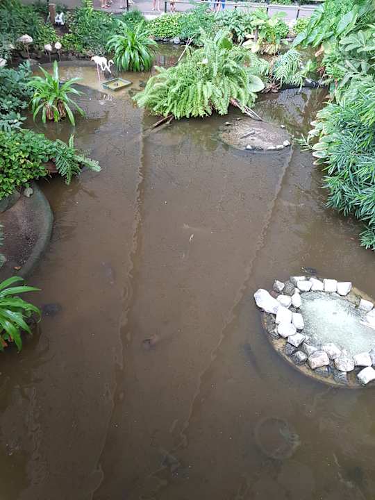 Gartenanlage Tropical Islands Resort