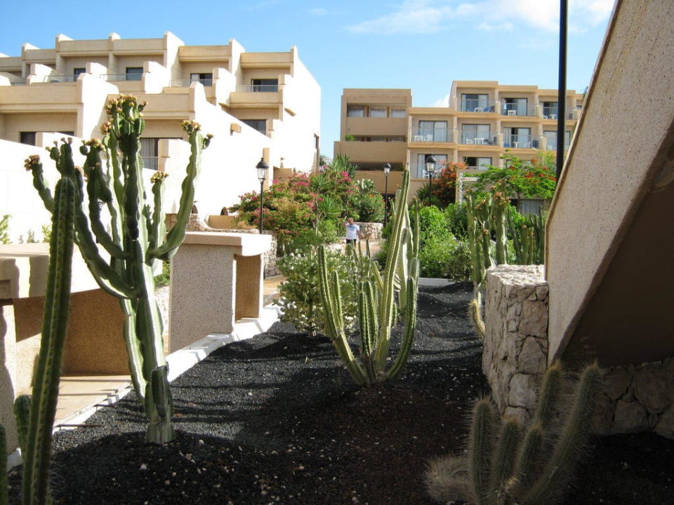 Innenanlage SBH Hotel Taro Beach