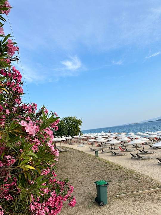 Strand Akrathos Beach Hotel